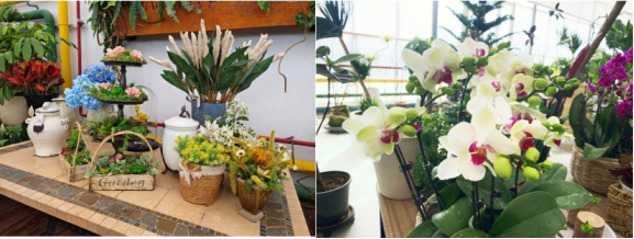 竞彩足球比分