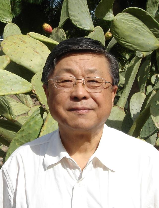 竞彩足球比分