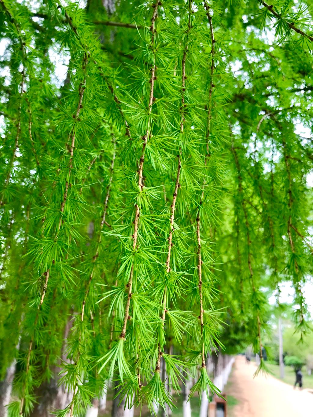 竞彩足球比分